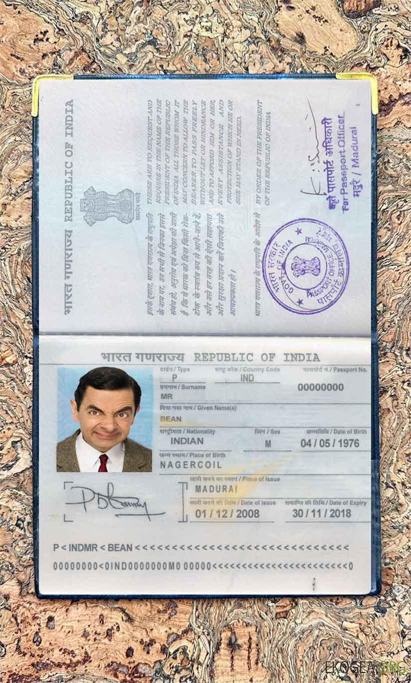 Look de photo de passeport indien